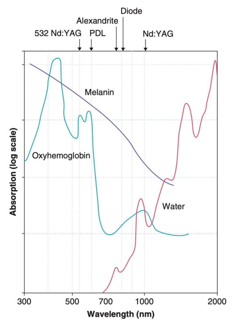 발색단 흡수사진