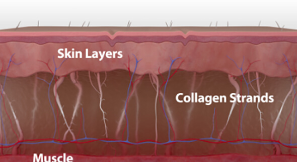 aging-collagen