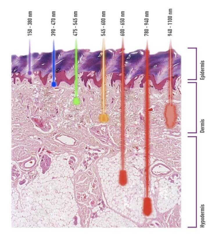 laser-wavelength-skin-penetration