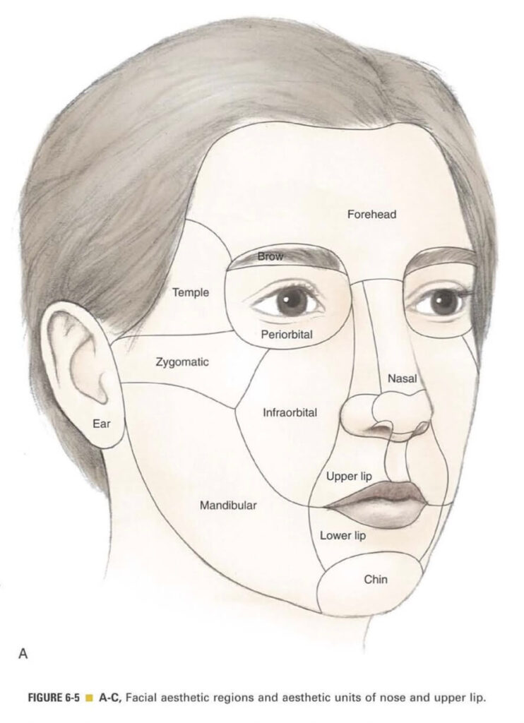Cosmetic unit of the face