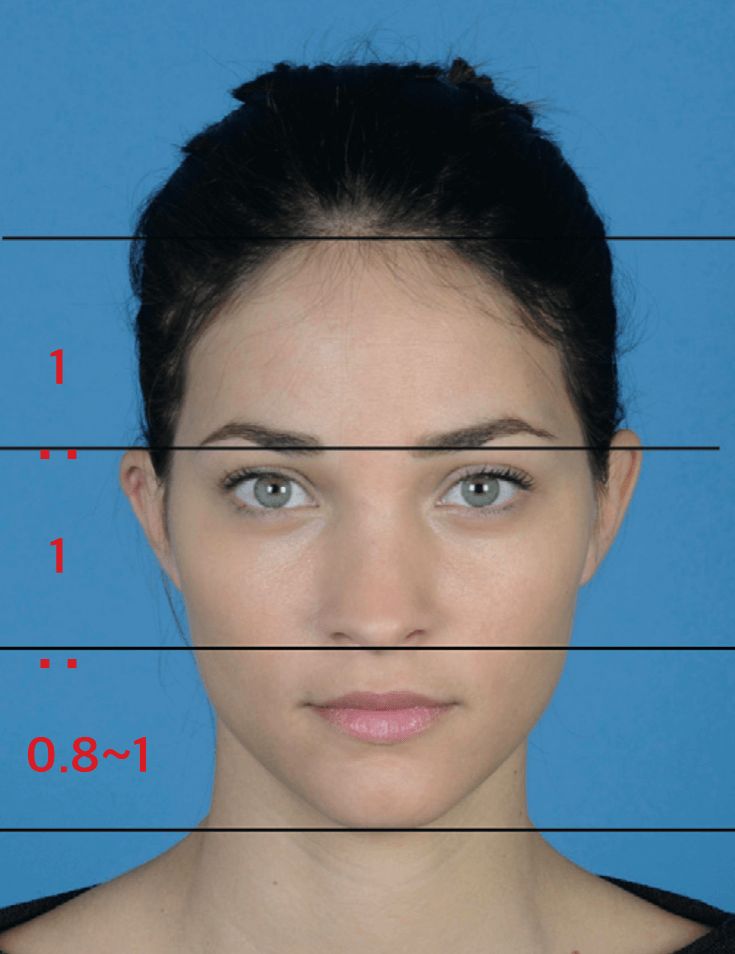 얼굴비율
