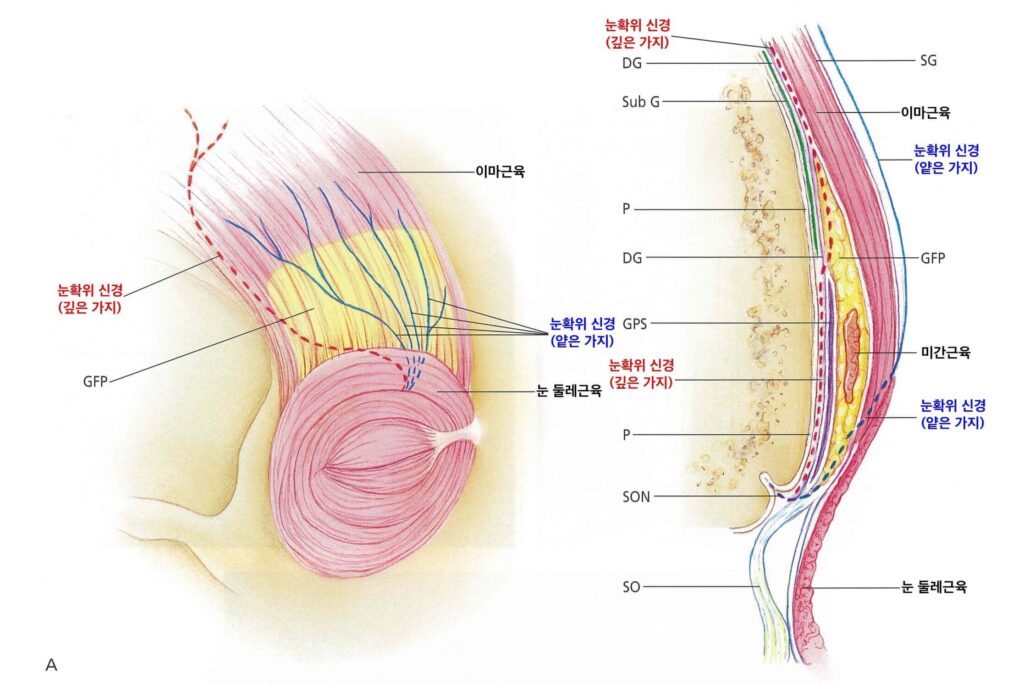 이마거상감각저하